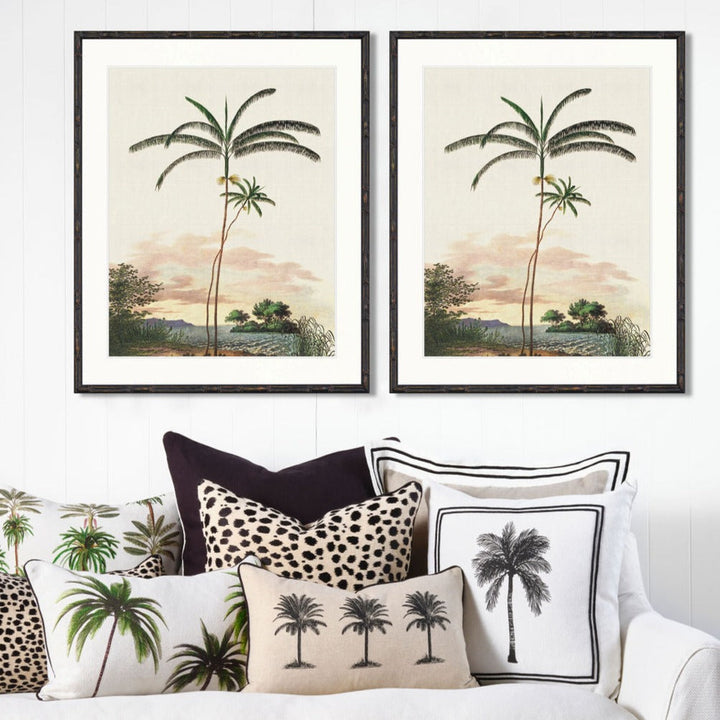 Serengeti 30x50 - Elegant Sand Cotton Design Discover the Serengeti 30x50 crafted from 100% sand cotton, featuring stunning black embroidery and elegant piping.