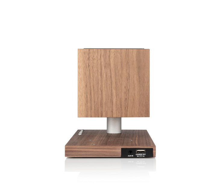 Revive by Tivoli Audio Walnut Grey