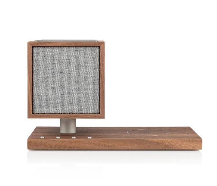 Revive by Tivoli Audio Speaker Charger