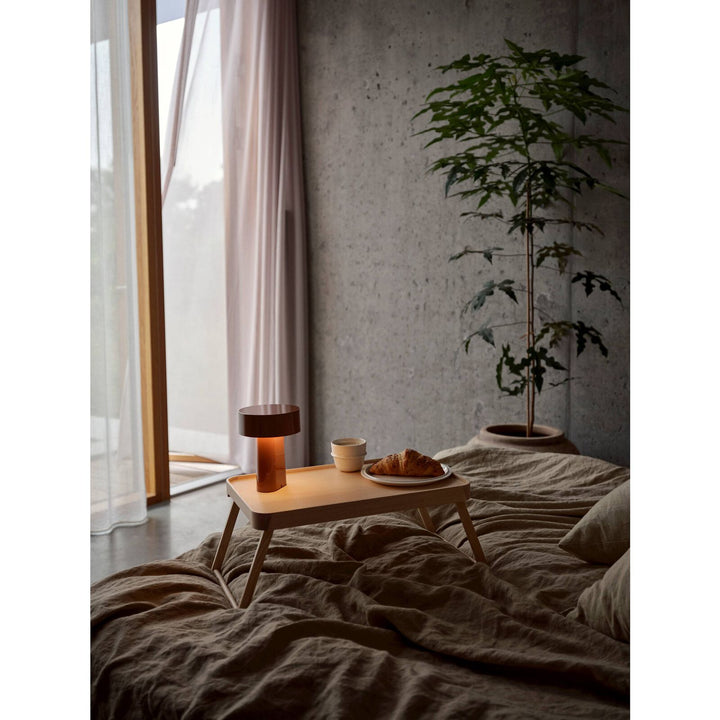 Zone Denmark Maple LED Lamp for Table or Shelf