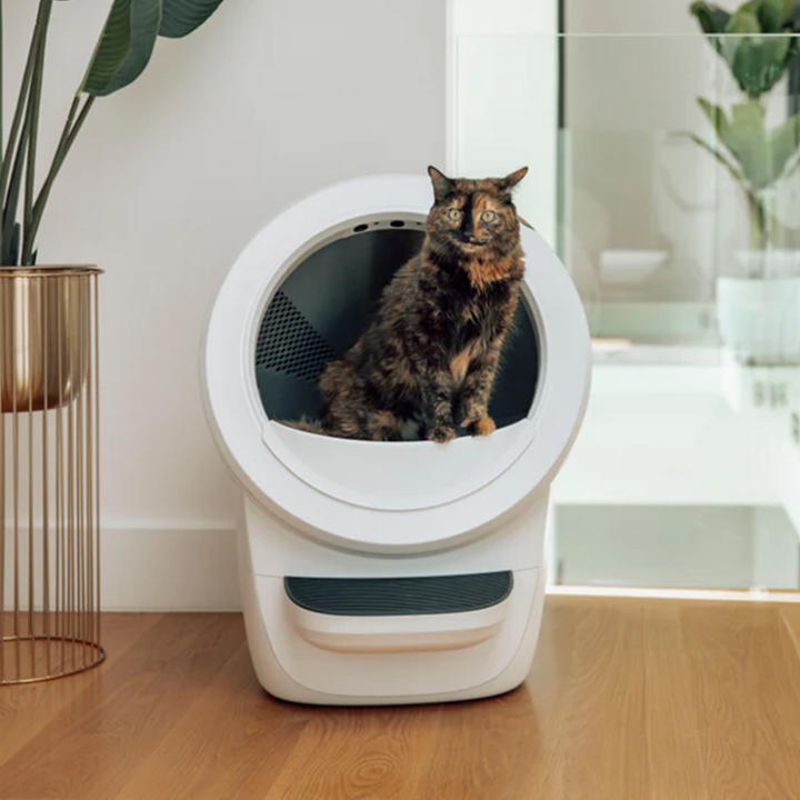 Litter-Robot™ 4- white