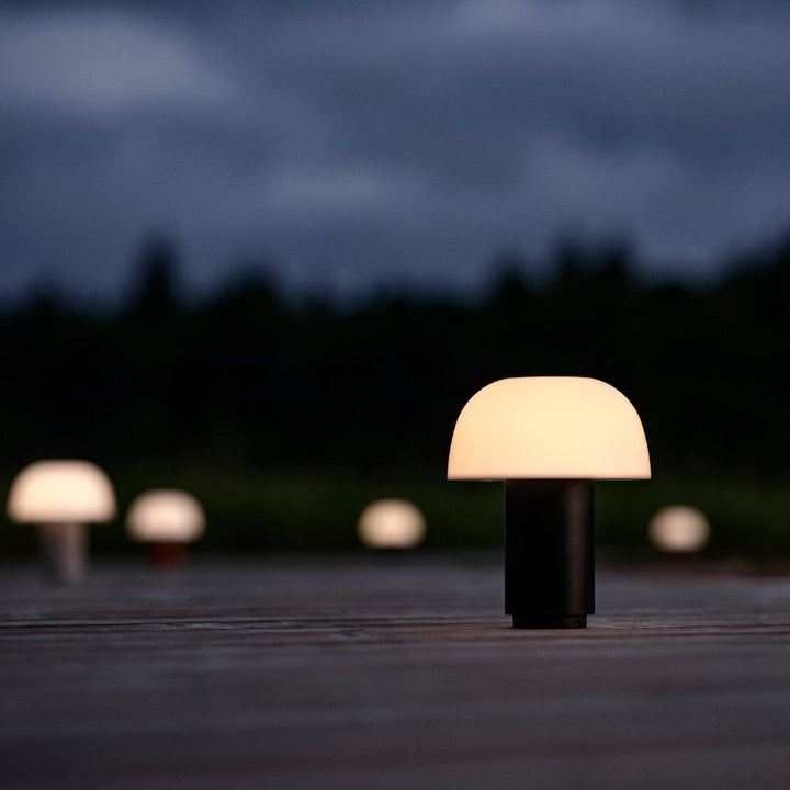 Zone Harvest Moon Lamp