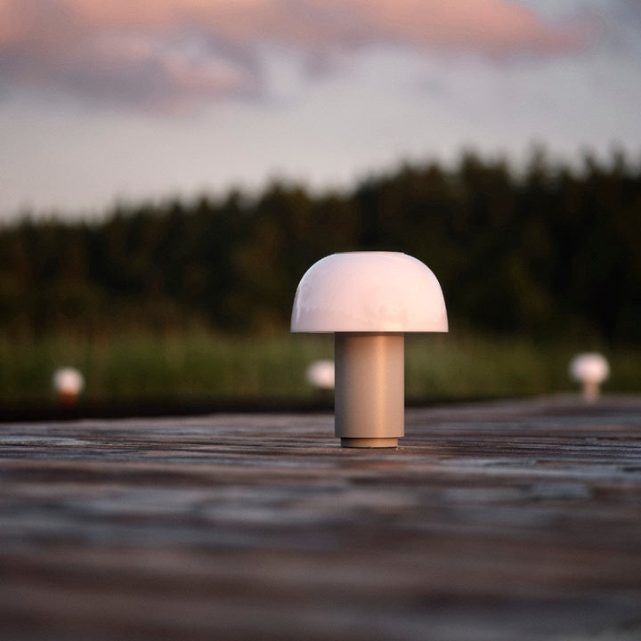 Zone Harvest Moon Lamp