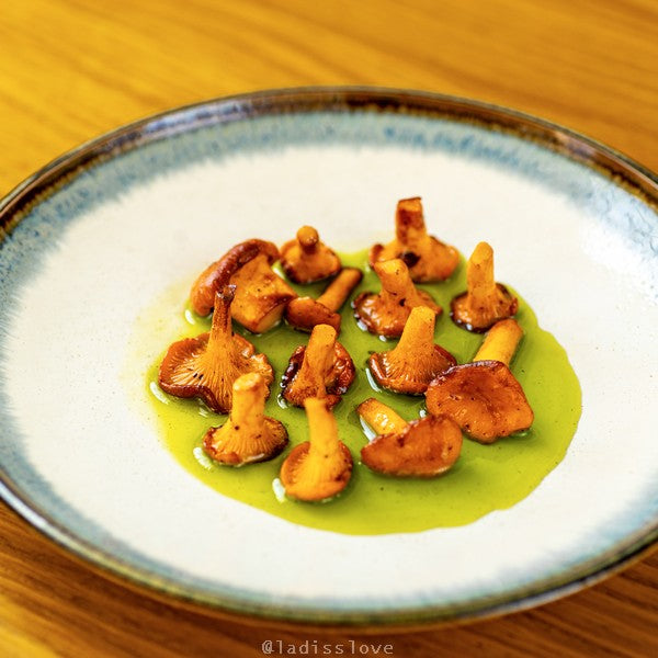 Aurora Dinner Plate 25.5 cm