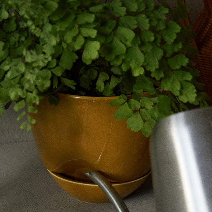 Audo CPH Hydrous Planter (Diam. 12 cm) by Audo Copenhagen - Product Information: Our clever, self-watering pot ensures easy plant care whether you are home or away. Shaped from stoneware glazed for a glossy finish, the practical design enables the plant t