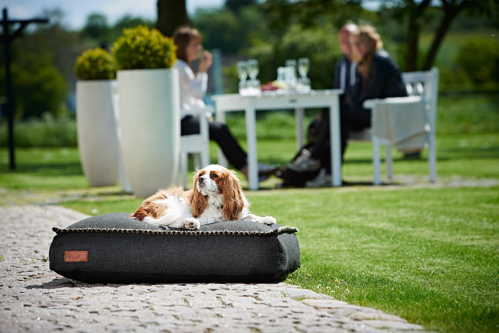 BEON.COM.AU Give your pet luxury inside and outside! Give your pet and your home exclusive and luxurious Danish design. The stylish DOGit Cobana is made from the durable and beautiful Cobana fabric, which is both water resistant and fast to light. Now your pet doesn’t need to lay on the ground when you enjoy... Sackit Australia at BEON.COM.AU