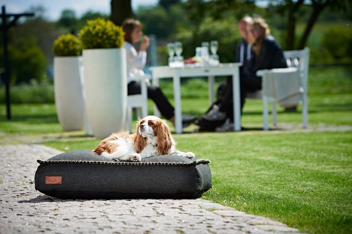 Buy online & save DOGit Cobana Mini Dog Bed |Sackit Australia |BEON.COM.AU Give your pet luxury inside and outside! Give your pet and your home exclusive and luxurious Danish design. The stylish DOGit Cobana is made from the durable and beautiful Cobana fabric, which is both water resistant and fast to light. Now your pet doesn’t need to lay on the ground when you enjoy... Sackit Australia at BEON.COM.AU