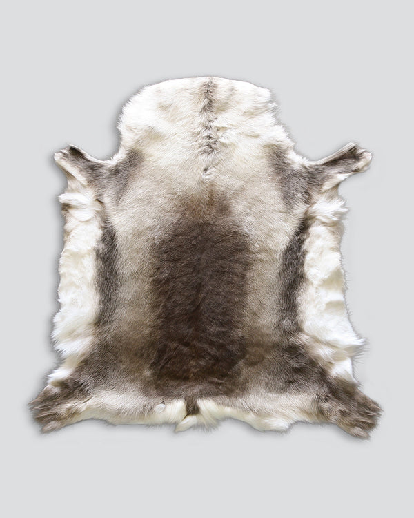 Lapland Reindeer Hide Australian Stock Buy at beon.com.au